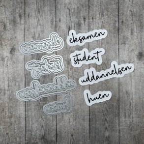 Dan Dies Student, huen, eksamen og uddannelse