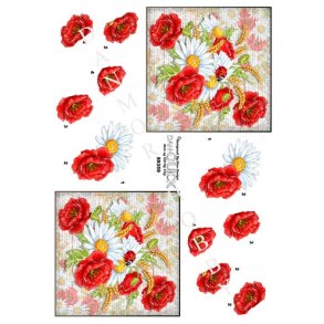  3D Valmuer og marguerit