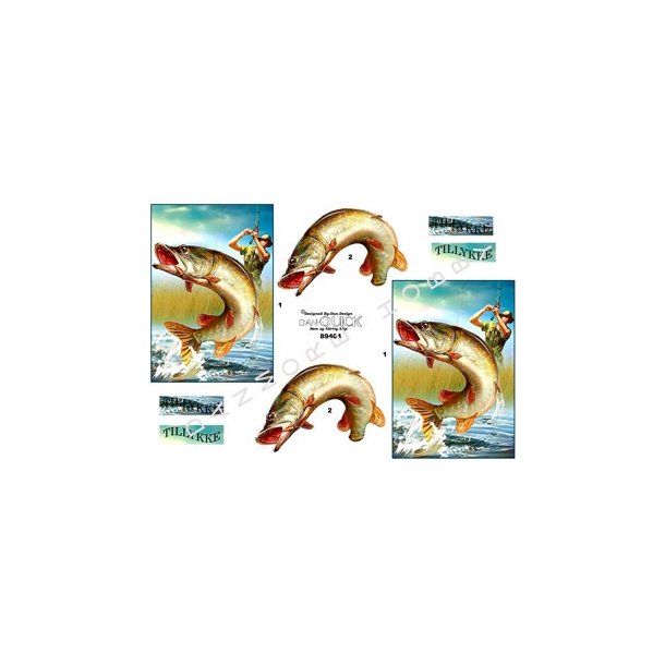  3D Fiskeri