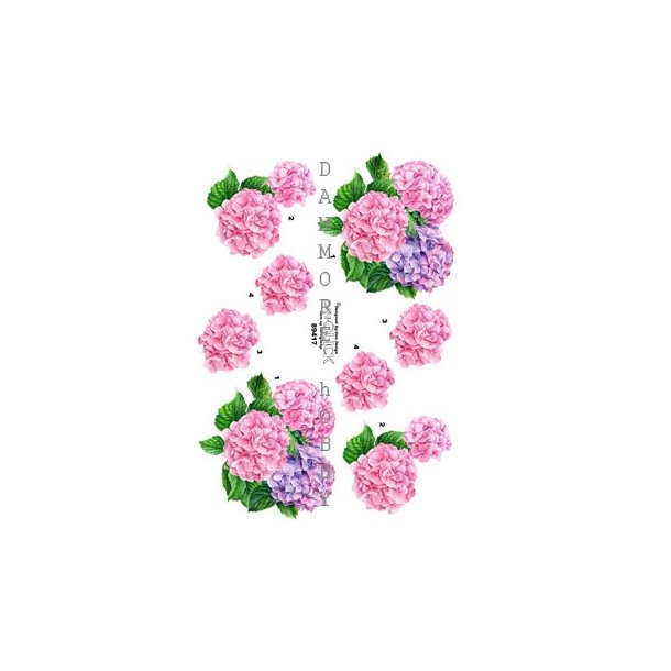 3D Hortensia