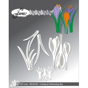 By Lene dies Crocus St�rste: 1,8x5,6cm