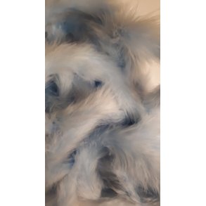 Lysebl� fjerboa 1m